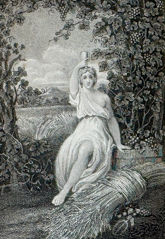 The Poetical Works of Alex. Pope