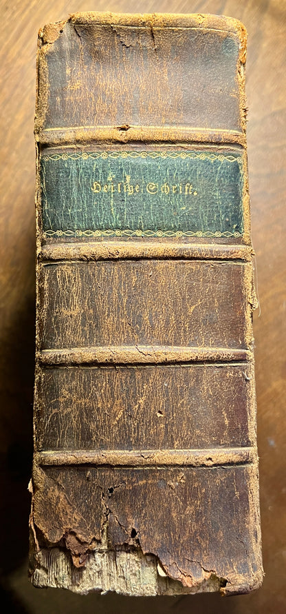 Die Bibel oder die ganze Heilige Schrift des Alten und Neuen Testaments