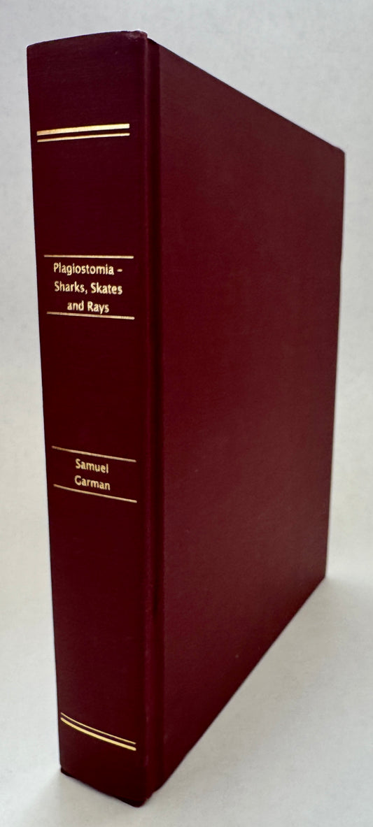 The Plagiostomia: Sharks, Skates, and Rays