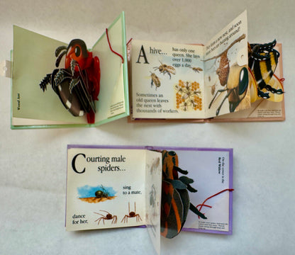 Ant [together with] Bee [together with] Spider