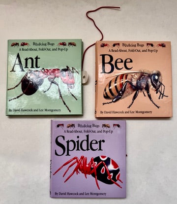 Ant [together with] Bee [together with] Spider