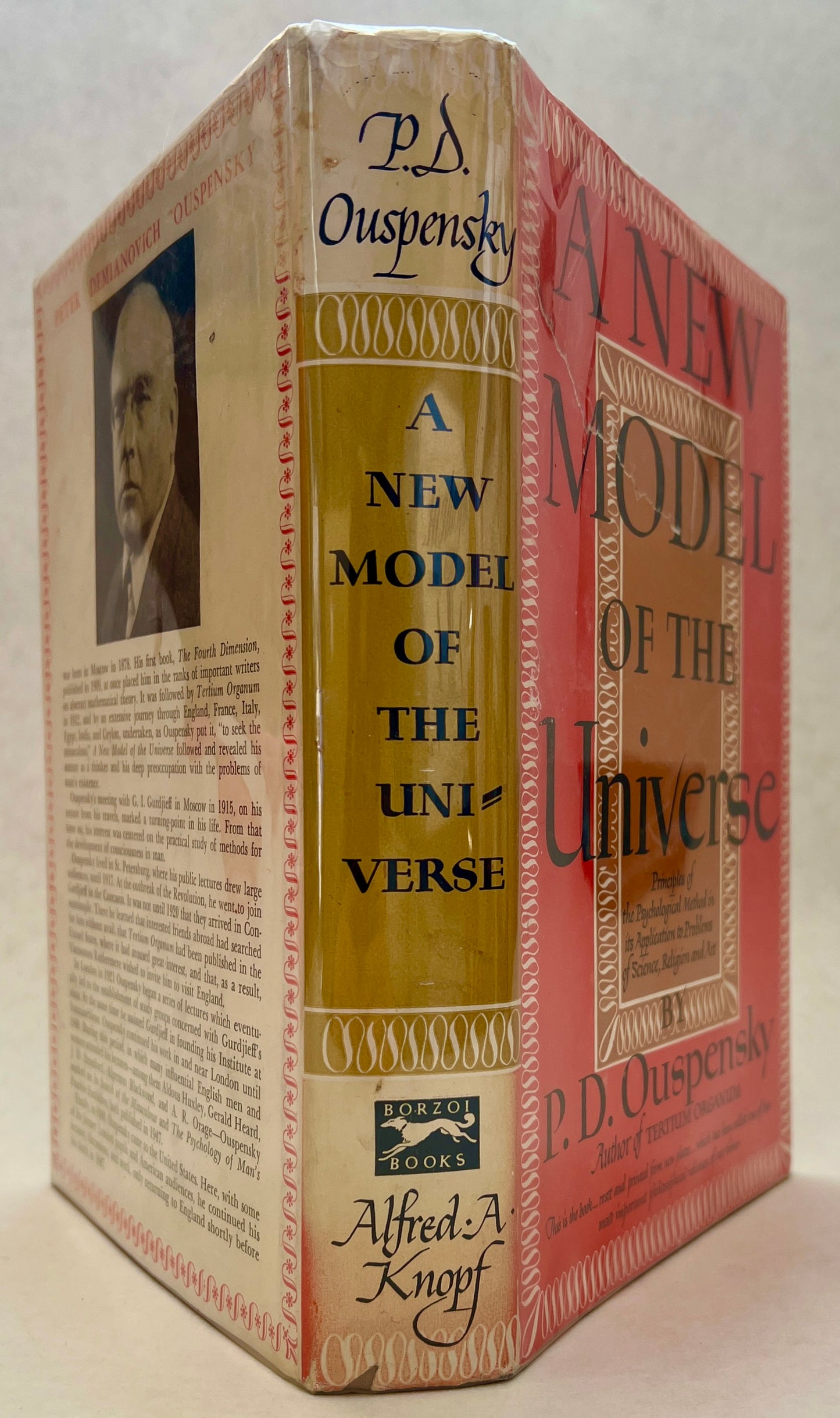 A New Model of the Universe