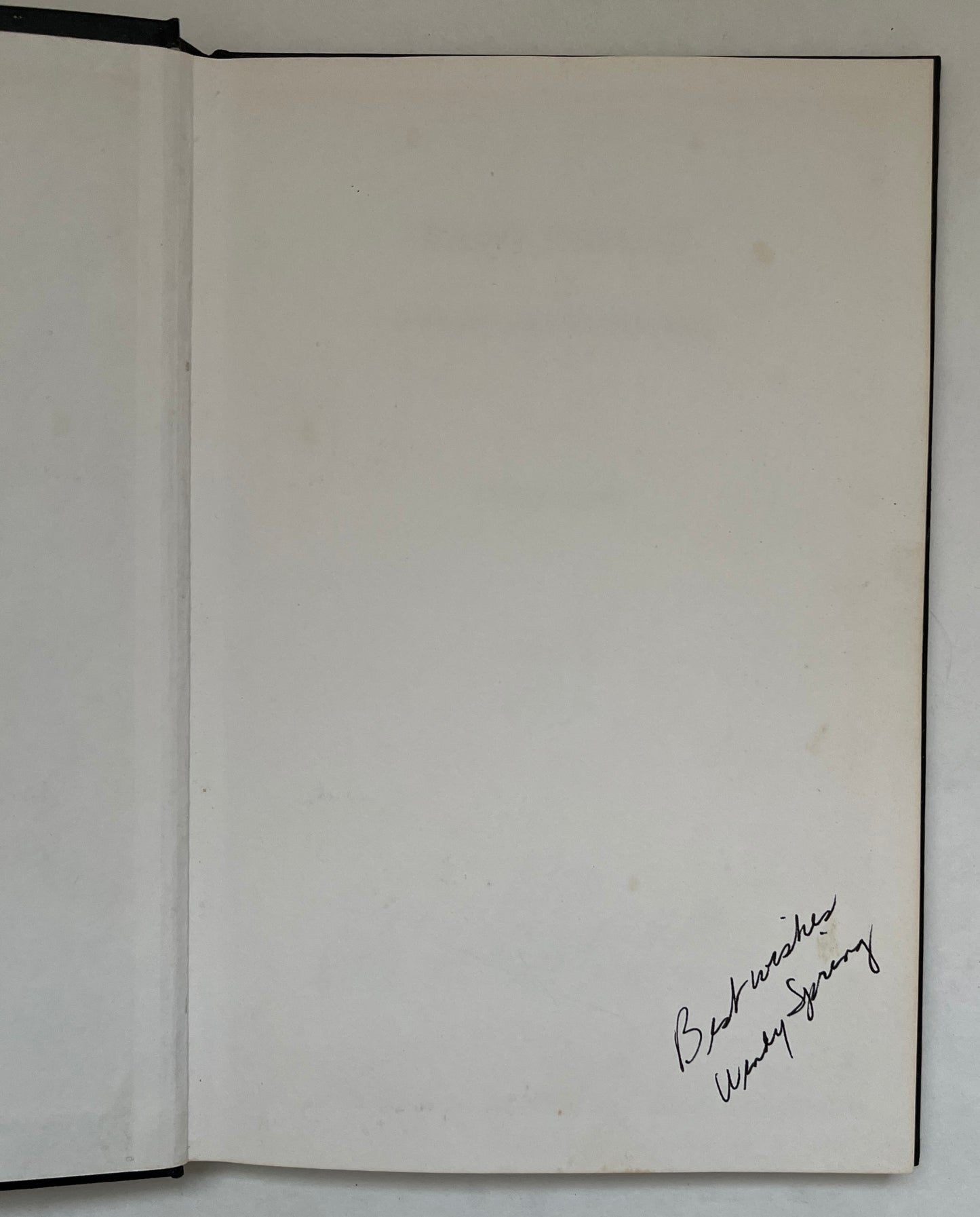 Paso Fino II [signed]