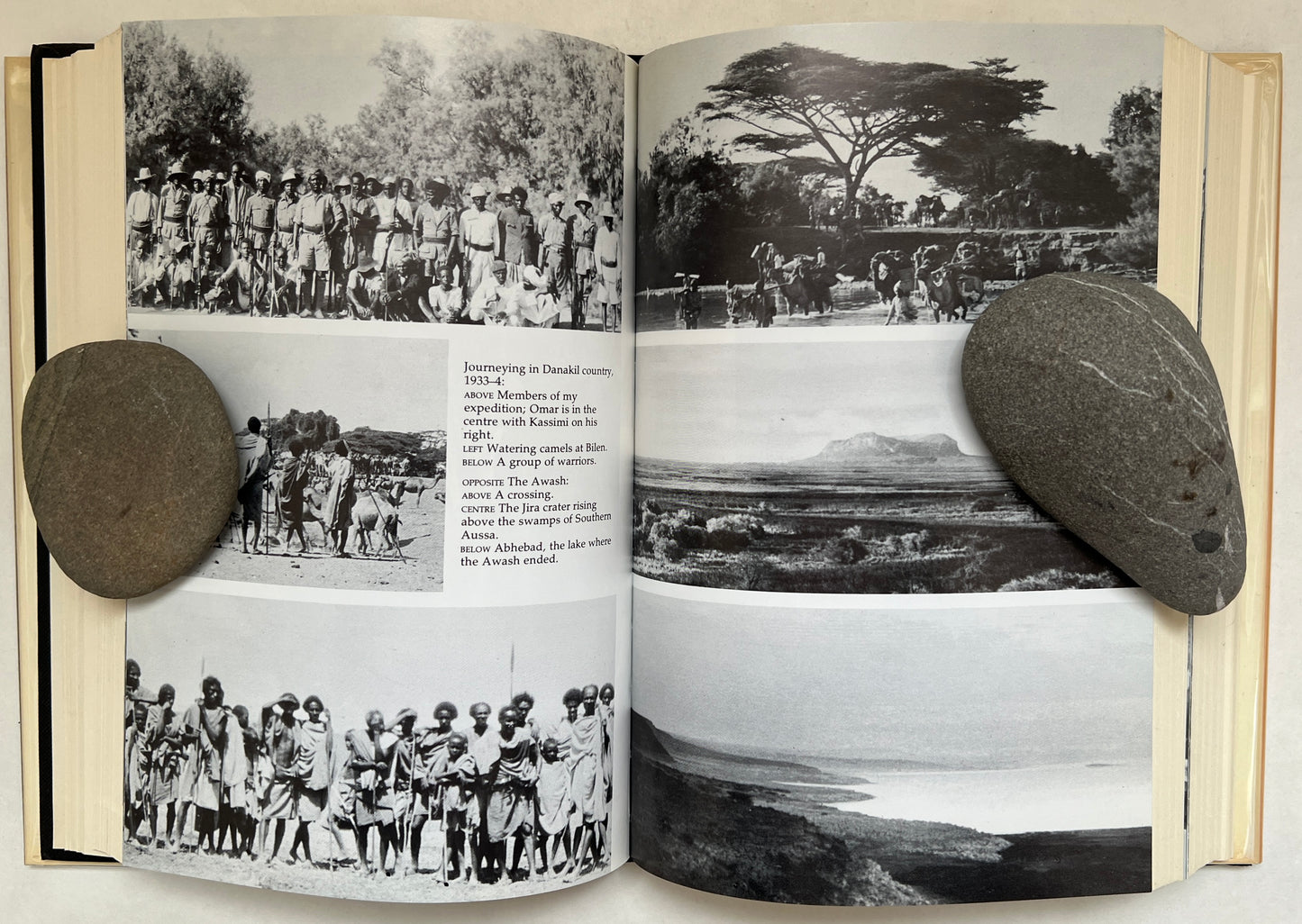 The Life of My Choice