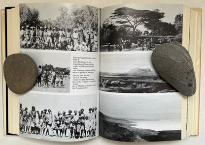 The Life of My Choice