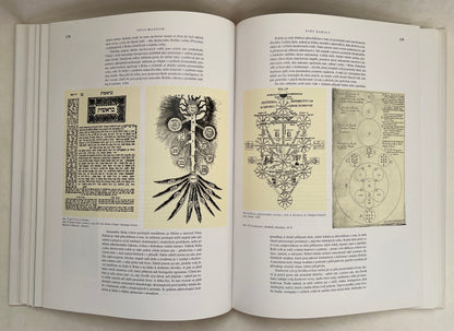 Opus Magnum: Kniha o Sakralni Geometrii, Alchymii, Magii, Astrologii, Kabale a Tajnych Spolecnostech V Ceskych Zemich ;