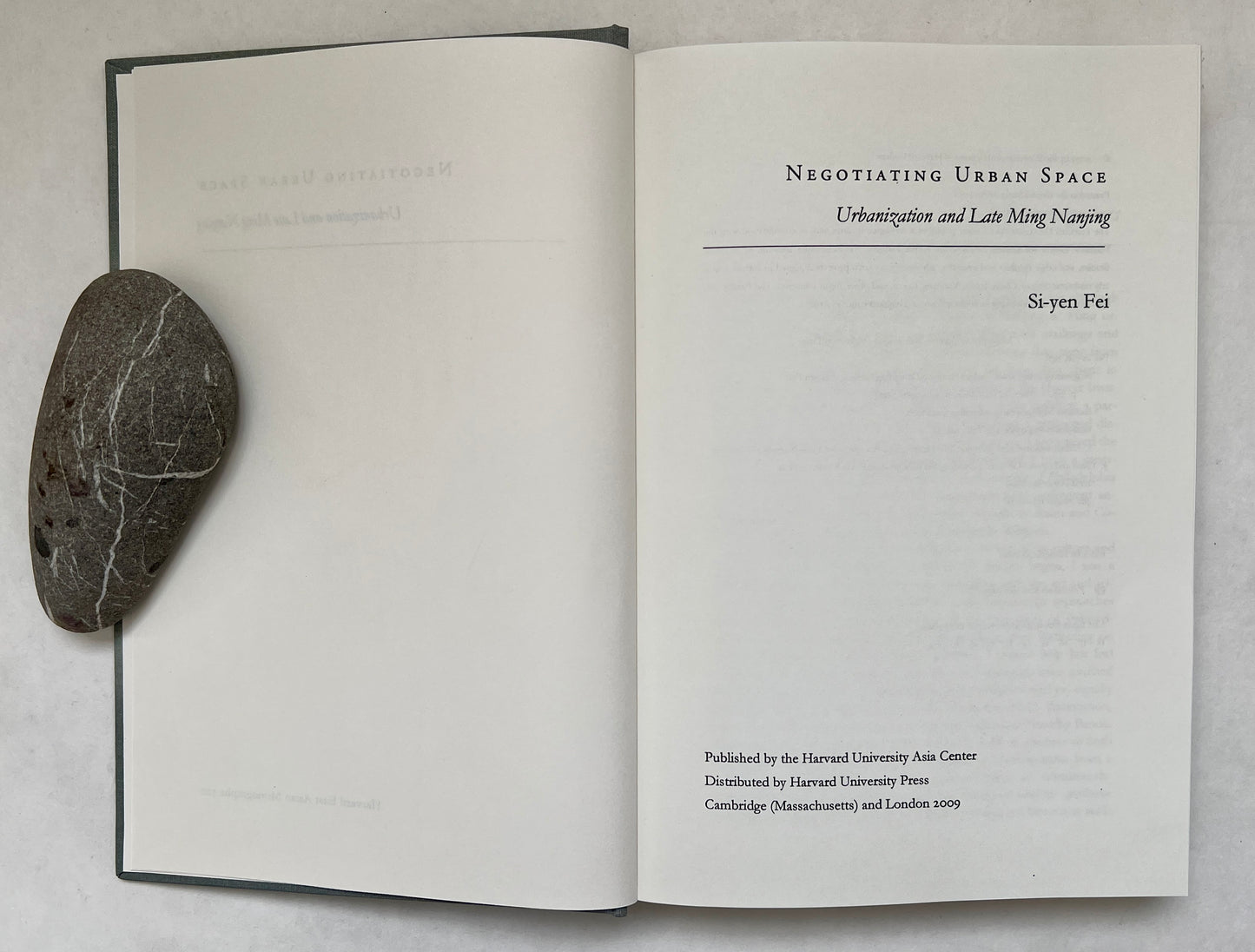 Negotiating Urban Space