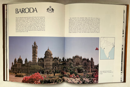 The Palaces of India