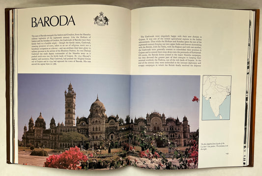 The Palaces of India