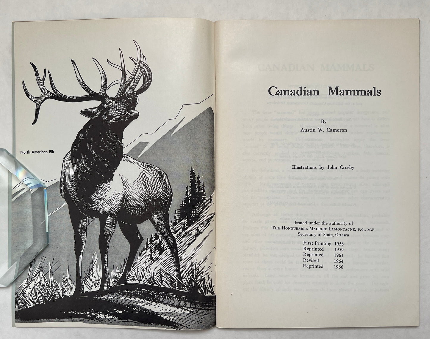 Canadian Mammals