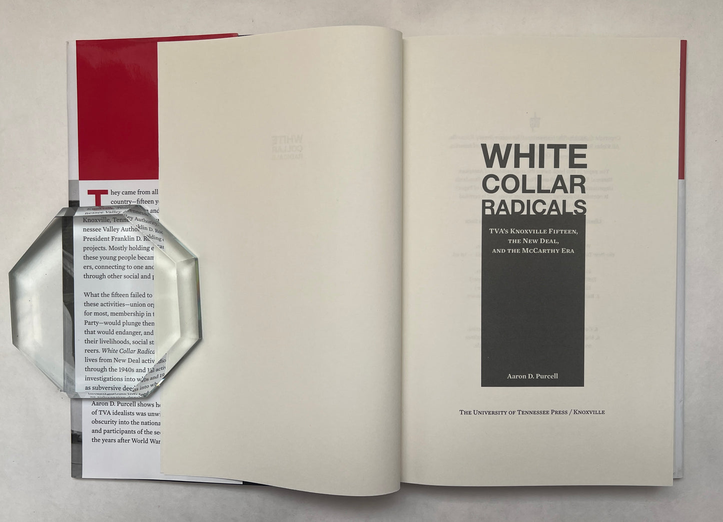 White Collar Radicals