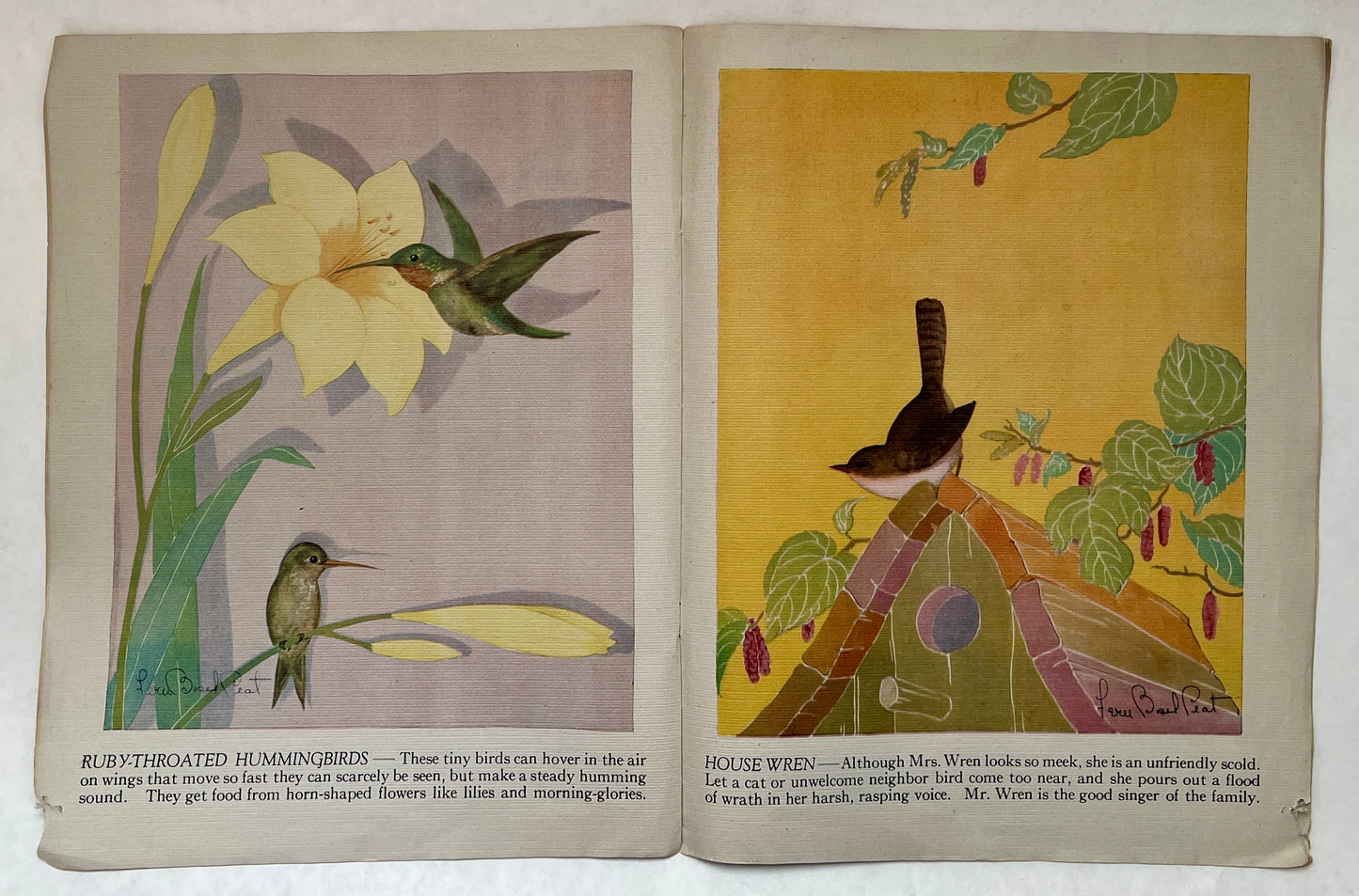 Birds and Their Nests