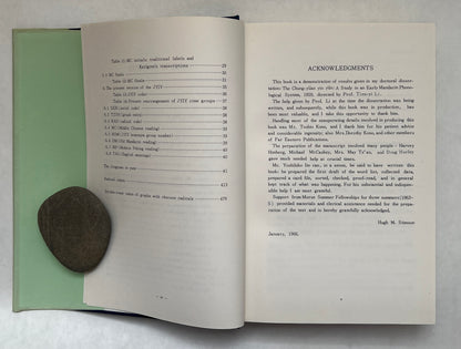 The Jongyuan in Yunn: A Guide to Old Mandarin Pronunciation