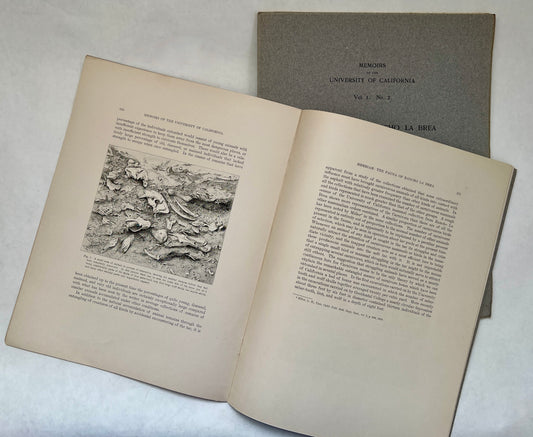 The Fauna of Rancho la Brea. Parts I & II [Occurrence & Canidae]