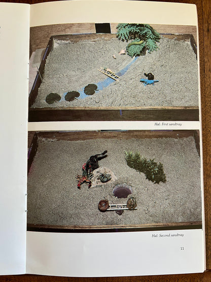 Sandplay Bridges and Transcendent Function