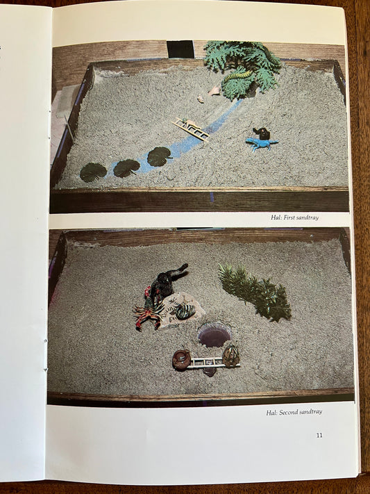 Sandplay Bridges and Transcendent Function