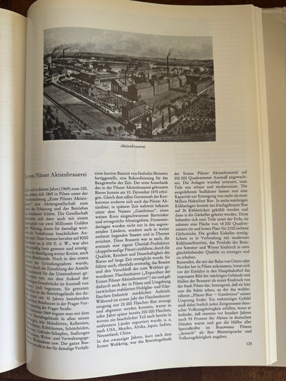 Pilsen Heimatstadt Seiner Deutschen Bewohner und Metropole and der Sprachgrenze ; Ein Lesebuch