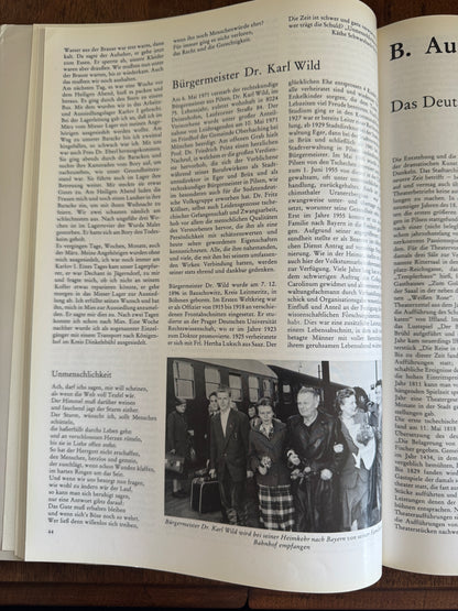 Pilsen Heimatstadt Seiner Deutschen Bewohner und Metropole and der Sprachgrenze ; Ein Lesebuch