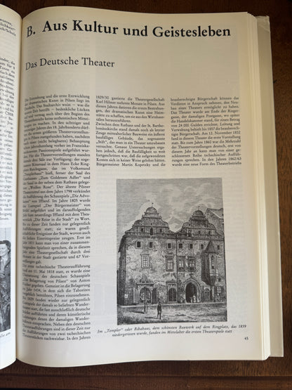 Pilsen Heimatstadt Seiner Deutschen Bewohner und Metropole and der Sprachgrenze ; Ein Lesebuch