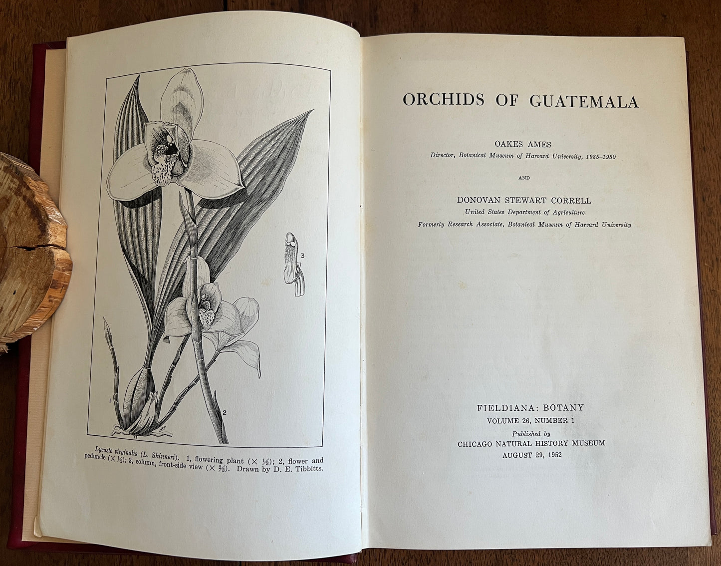 Orchids of Guatemala; Volumes I and II