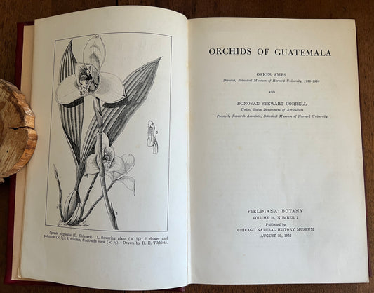 Orchids of Guatemala; Volumes I and II