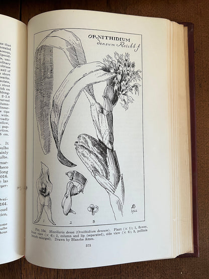 Orchids of Guatemala; Volumes I and II