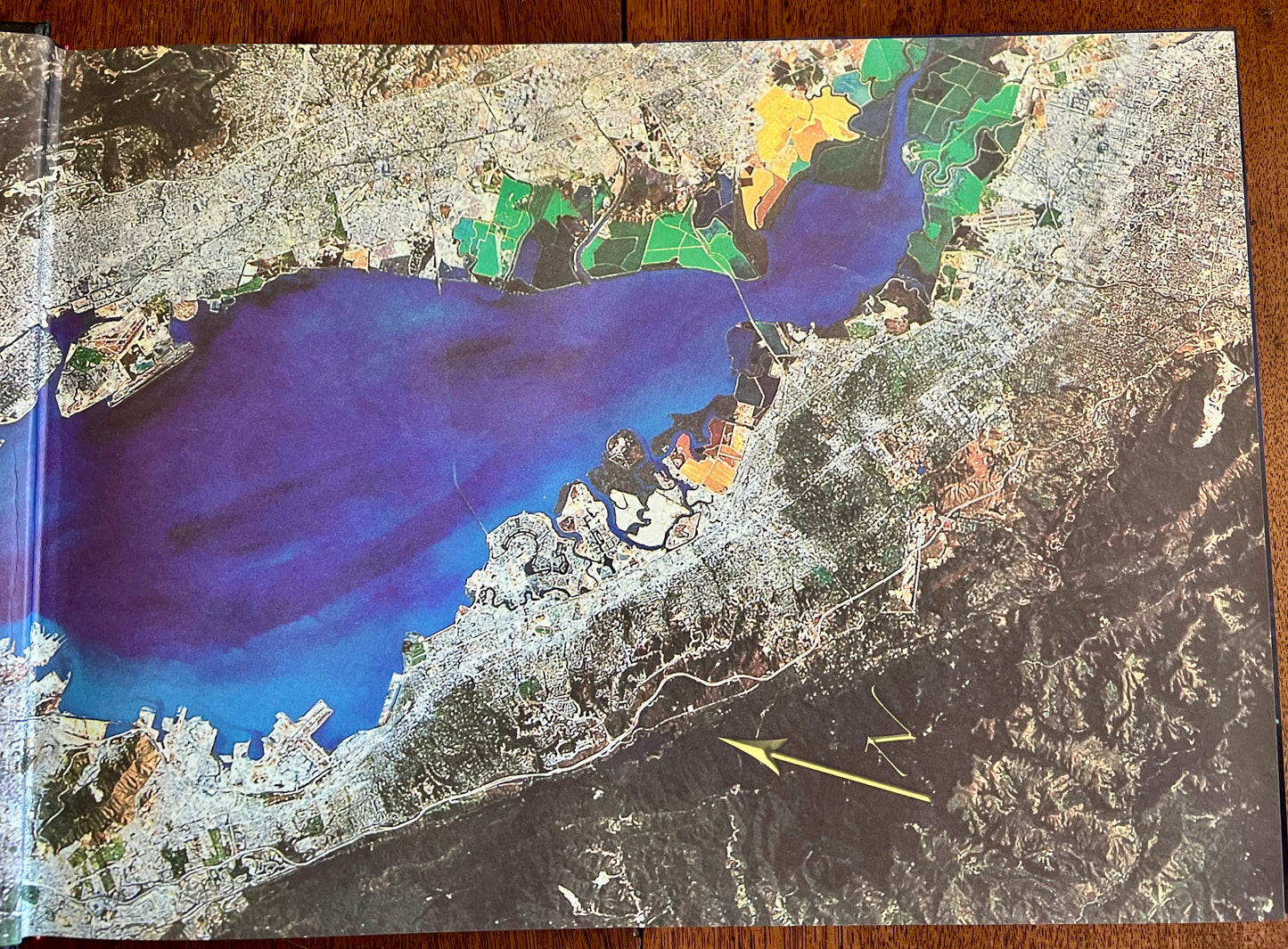 The Islands of San Francisco Bay: Ecology-48 Islands-History [Signed by Author]