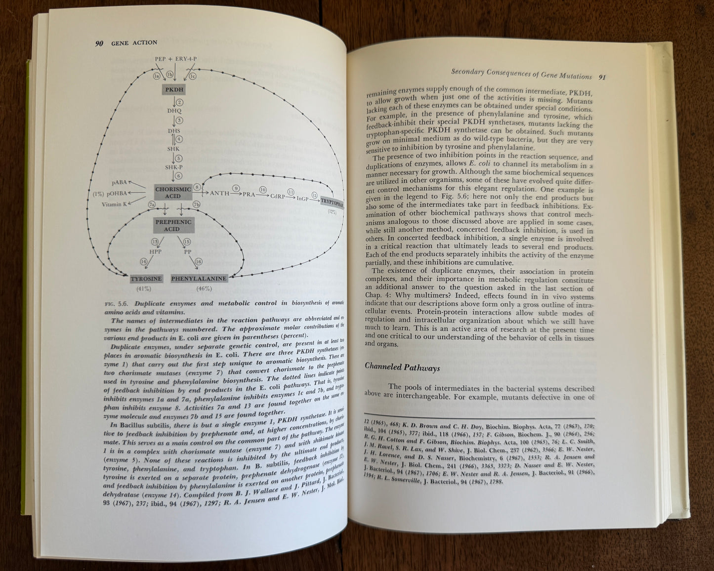 Gene Action [By] Philip E. Hartman [And] Sigmund R. Suskind