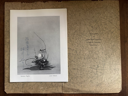 Syohuryu Zyosui Osikawa [Author signed]