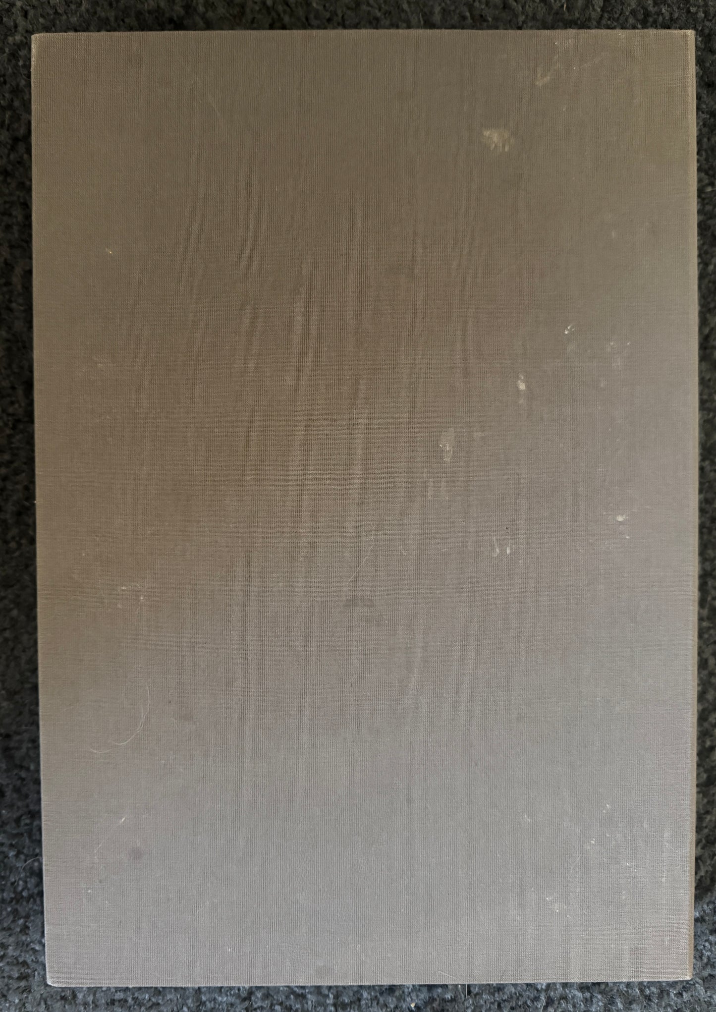 Fox Sleep [Inscribed & Signed]