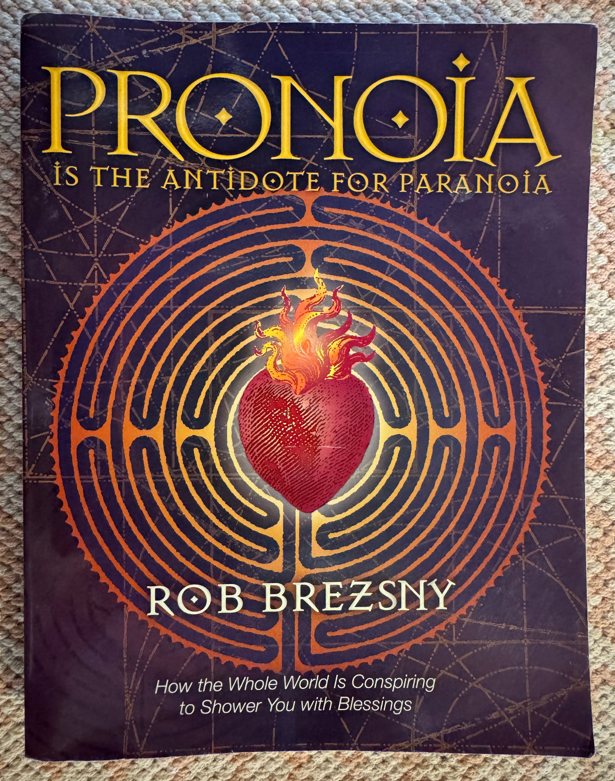 Pronoia Is the Antidote for Paranoia [Author inscribed]