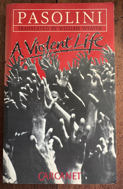 A Violent Life