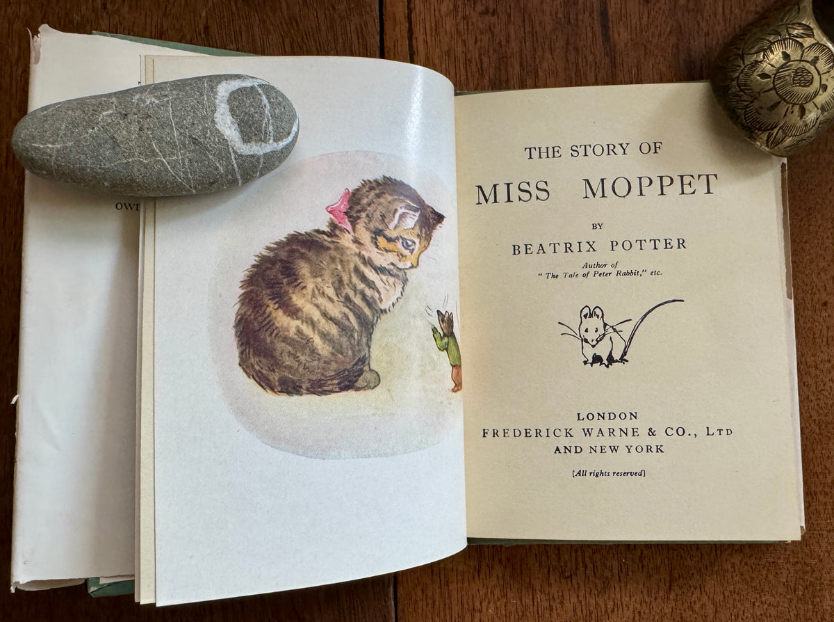 The Story of Miss Moppet