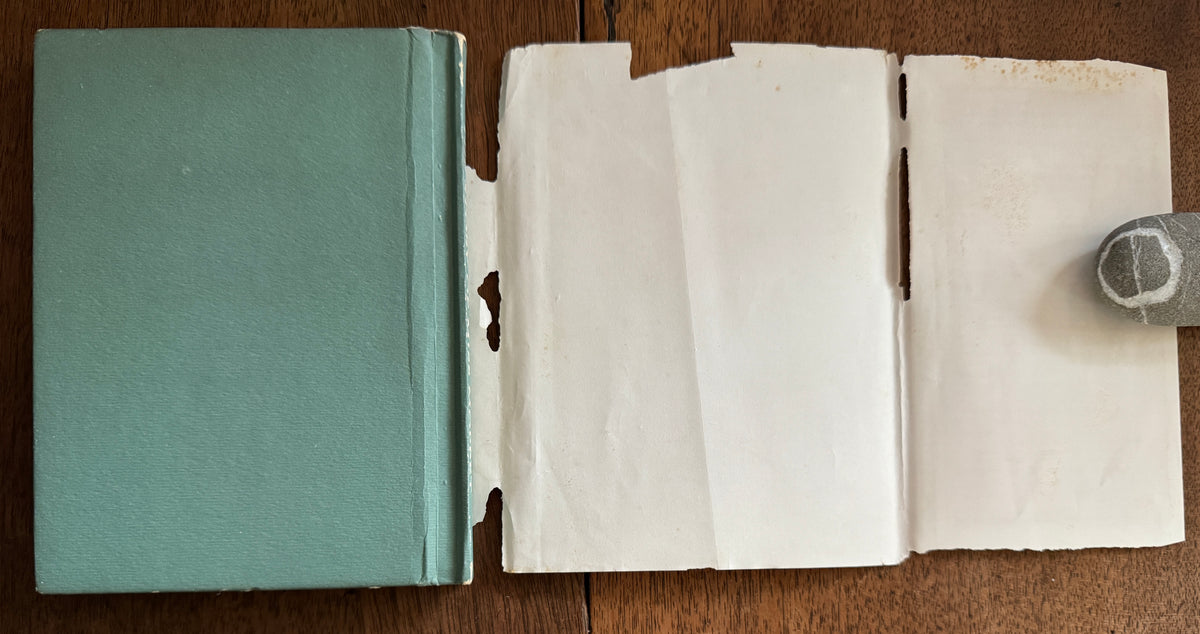The Story of Miss Moppet