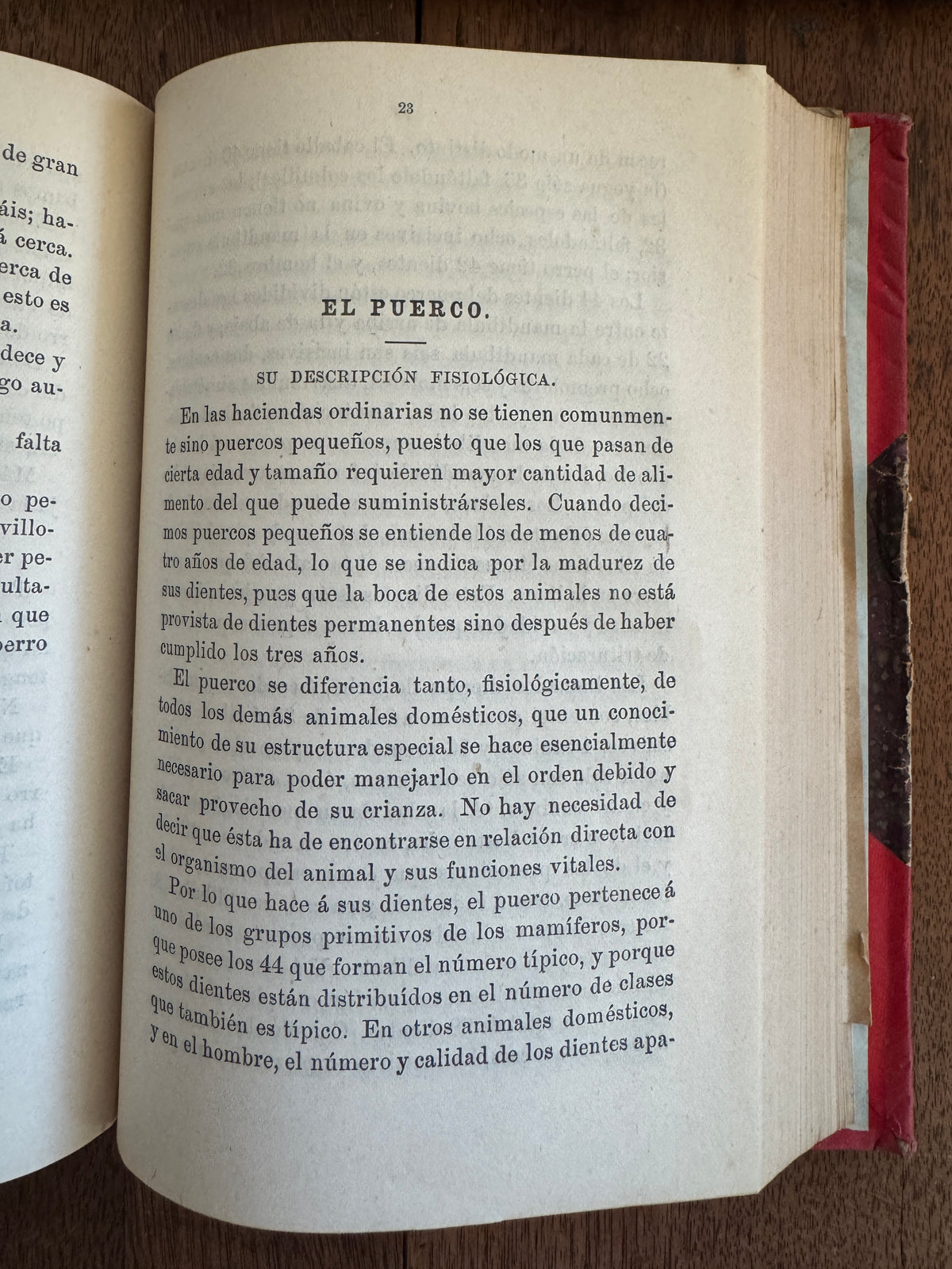 Boletin de Agricultura, Mineria e Industrias. Año V. - Num.7.-Enero de 1896 [together with] Año V.- Num 8