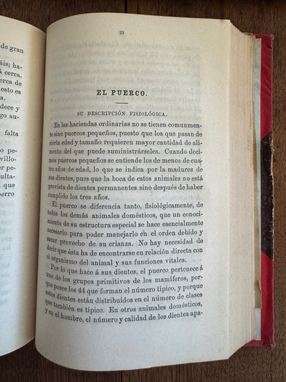 Boletin de Agricultura, Mineria e Industrias. Año V. - Num.7.-Enero de 1896 [together with] Año V.- Num 8