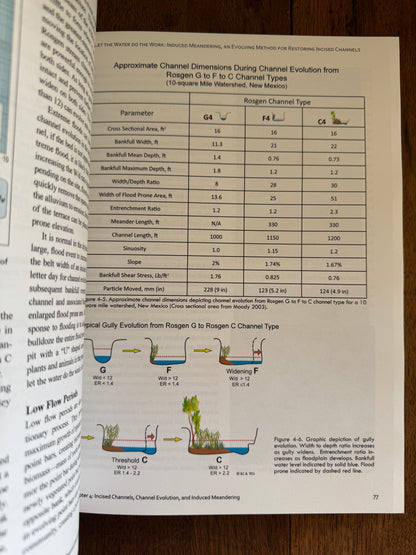 Let the Water Do the Work: Induced Meandering, an Evolving Method for Restoring Incised Channels