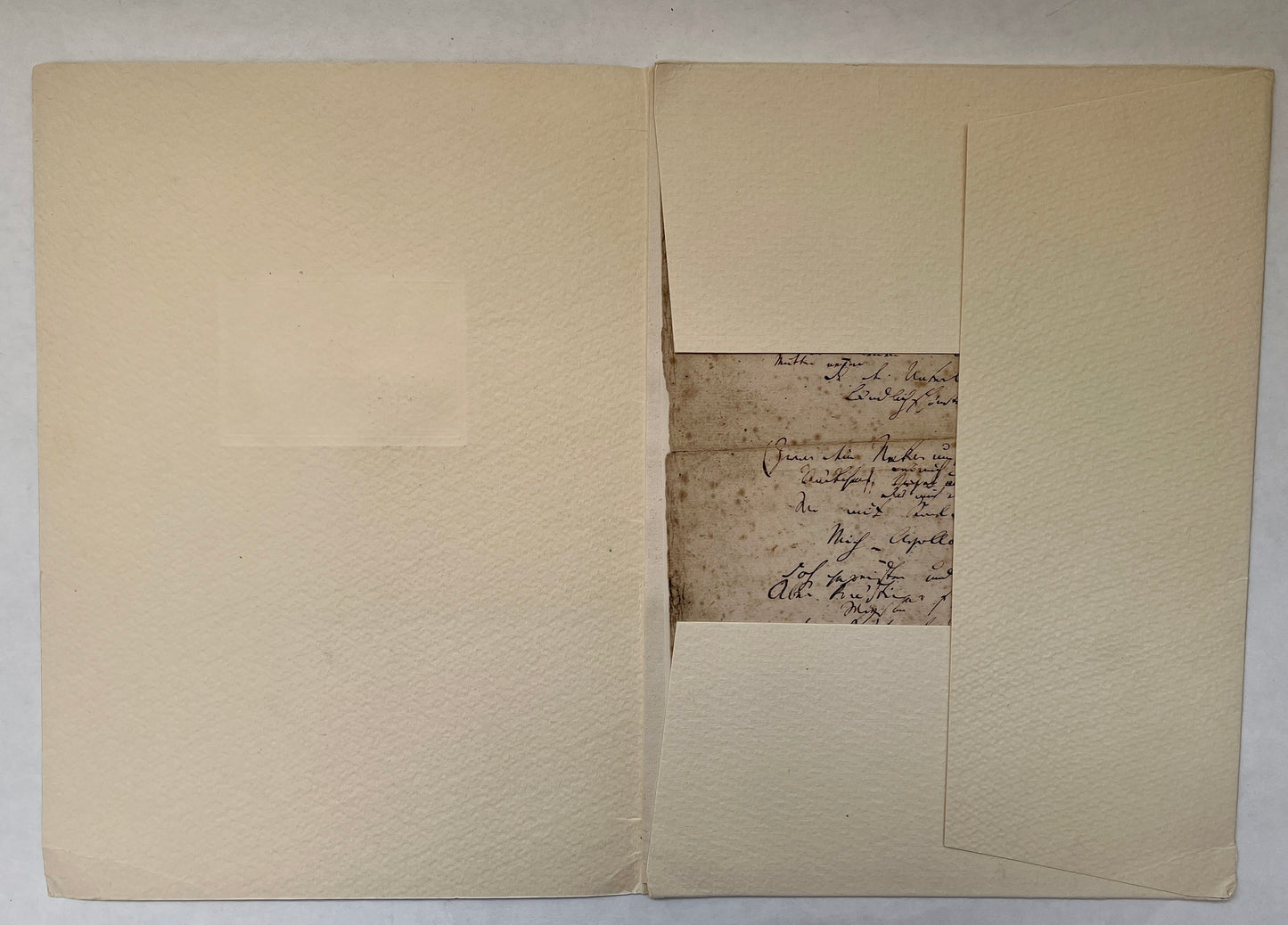 Friedrich Hölderlin. Heidelberg