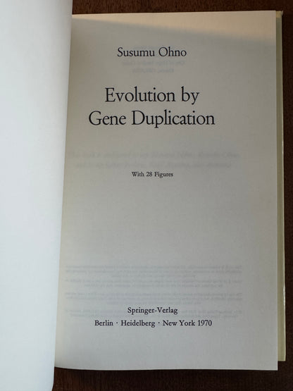 Evolution by Gene Duplication
