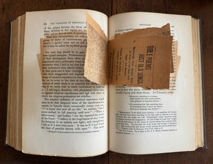 The Varieties of Religious Experience; A Study in Human Nature, Being the Gifford Lectures on Natural Religion Delivered At Edinburgh in 1901-1902