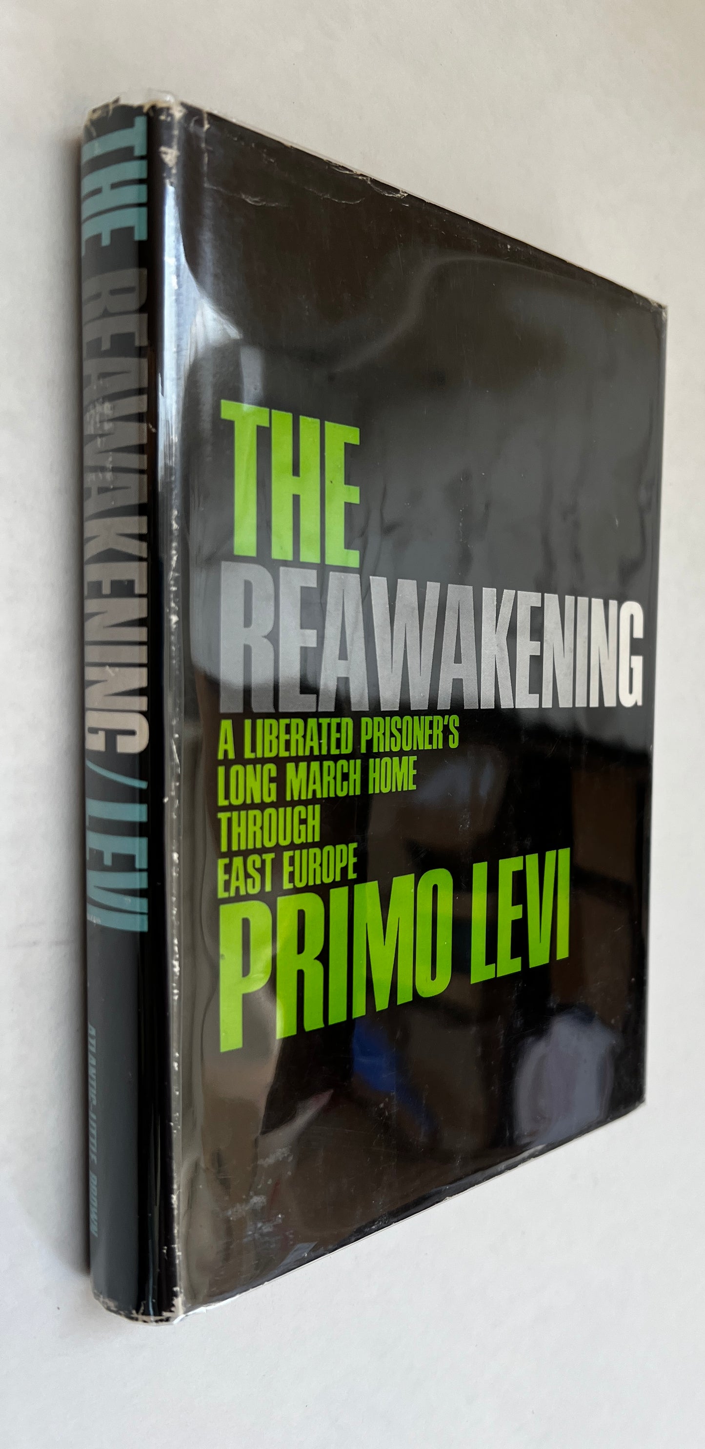 The Reawakening (La Tregua): A Liberated Prisoner's Long March Home Through East Europe.