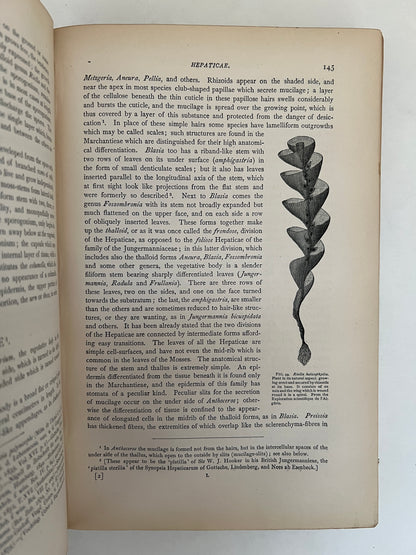 Outlines of Classification and Special Morphology of Plants