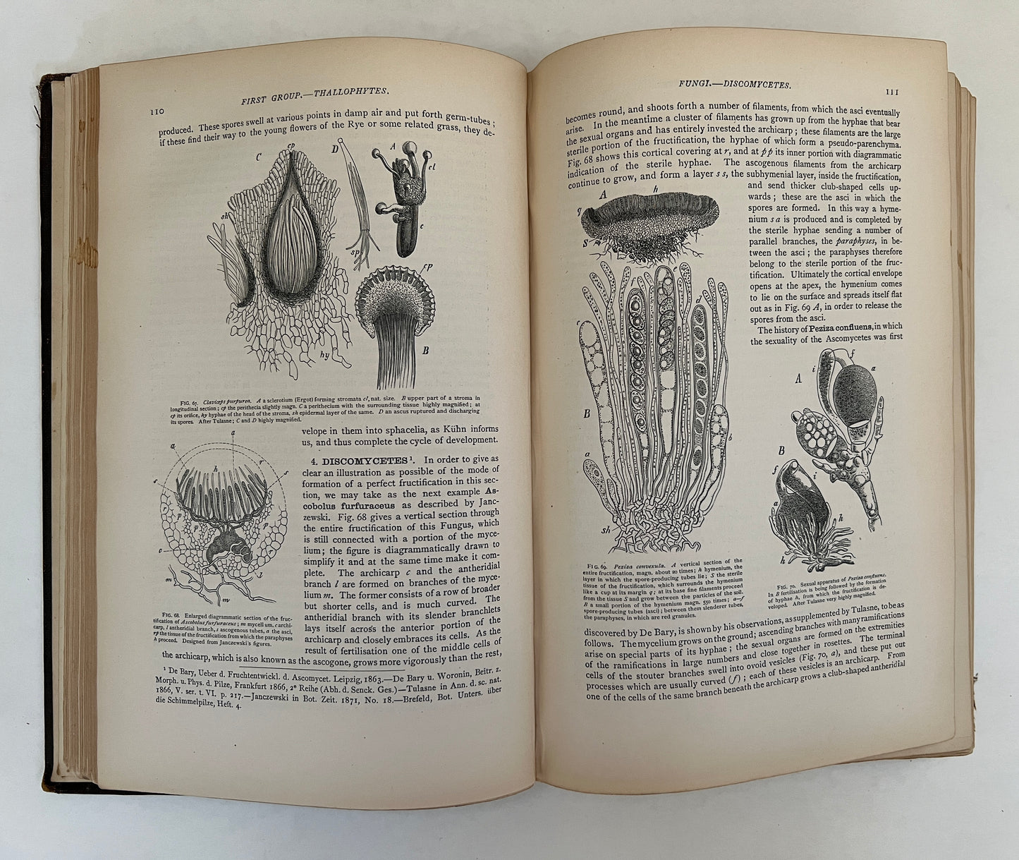 Outlines of Classification and Special Morphology of Plants