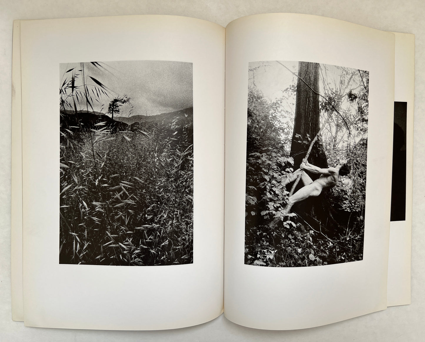 The Somnambulist: Photographs